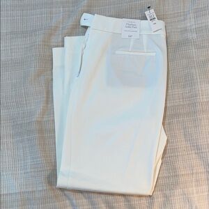 NWT Talbots Woman’s Ankle Pants (Size 10 Petite)